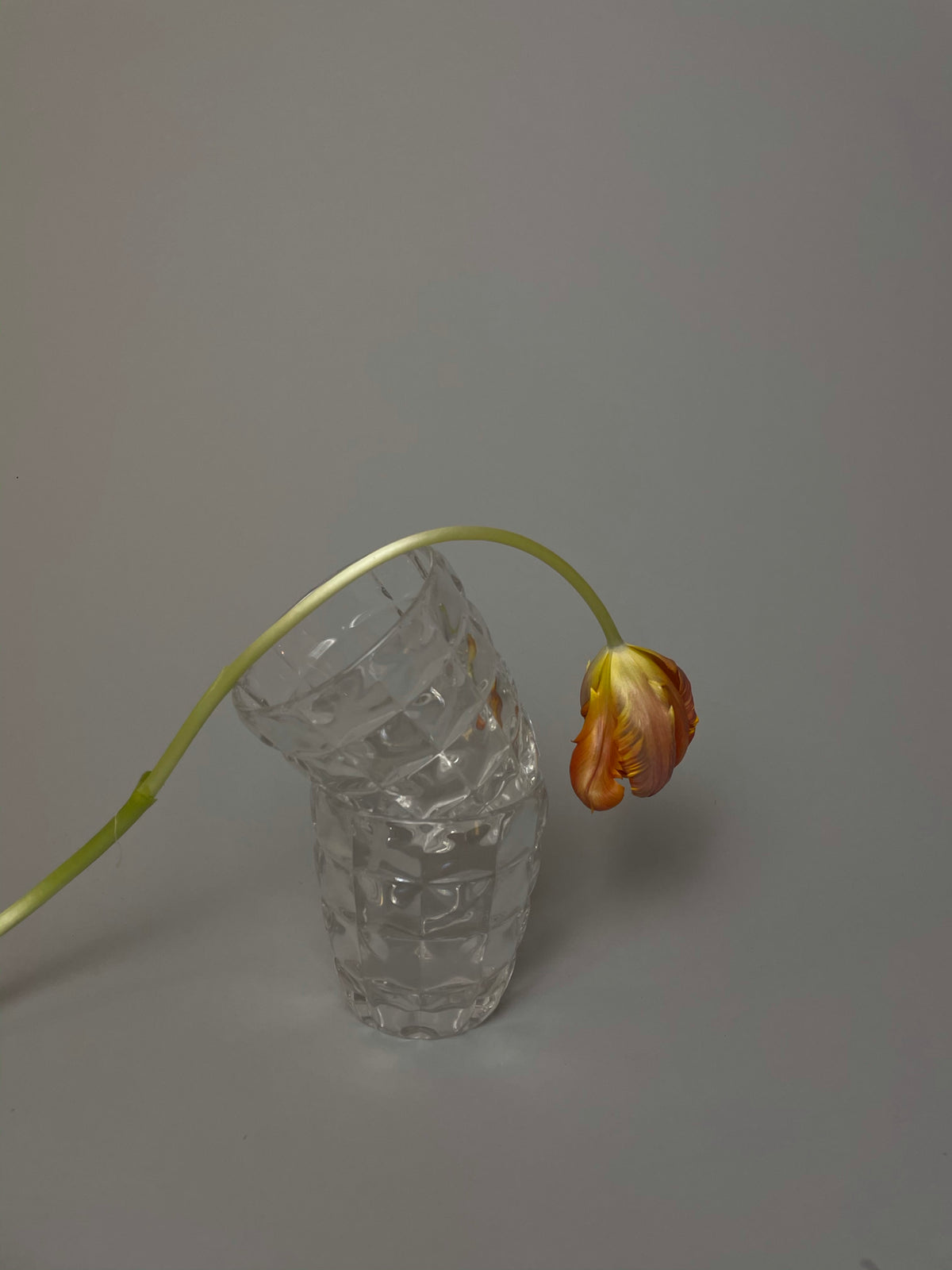 Quilted Glassware Set