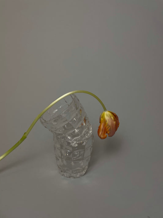 Quilted Glassware Set